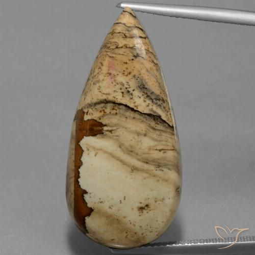 26.95ct Naturel Multicolore Jaspe, En forme de poire, Opaque
