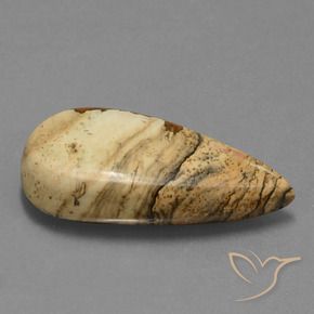 Jaspe Multicolore naturelle En forme de poire, 26.95 ct, Opaque