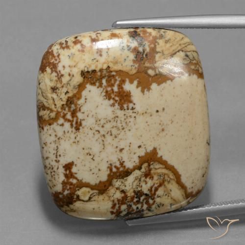 Jaspe Multicolore naturelle Coussin, 37.15 ct, Opaque