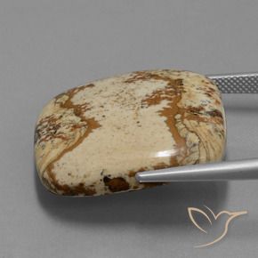 Jaspe Multicolore naturelle Coussin, 37.15 ct, Opaque
