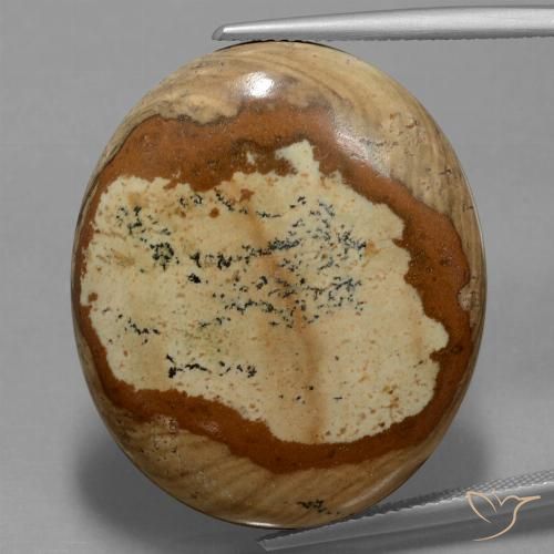 44.93ct Naturel Multicolore Jaspe, ovale, Opaque