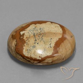 Jaspe Multicolore naturelle ovale, 44.93 ct, Opaque