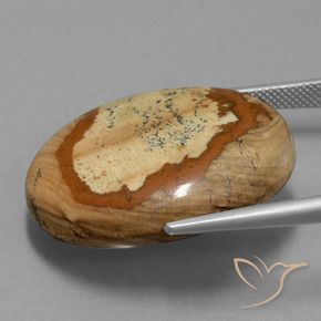 Jaspe Multicolore naturelle ovale, 44.93 ct, Opaque