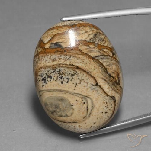 48.37ct Naturel Multicolore Jaspe, ovale, Opaque