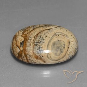 Jaspe Multicolore naturelle ovale, 48.37 ct, Opaque