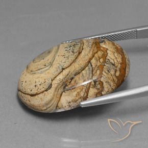 Jaspe Multicolore naturelle ovale, 48.37 ct, Opaque