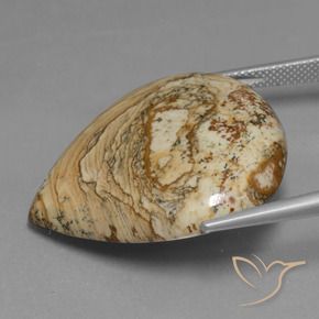 Jaspe Multicolore naturelle En forme de poire, 39.82 ct, Opaque