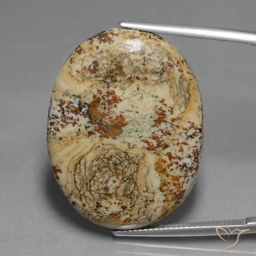37.65ct Naturel Multicolore Jaspe, ovale, Opaque