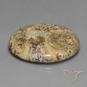 Jaspe Multicolore naturelle ovale, 37.65 ct, Opaque