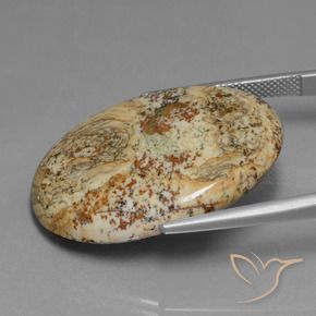 Jaspe Multicolore naturelle ovale, 37.65 ct, Opaque