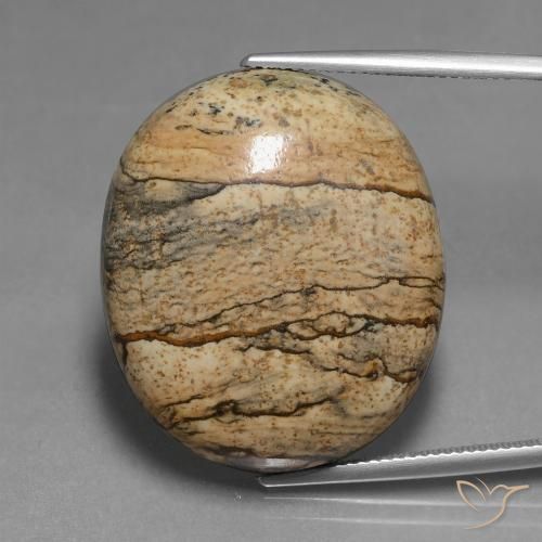 46.30ct Naturel Multicolore Jaspe, ovale, Opaque