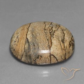 Jaspe Multicolore naturelle ovale, 46.30 ct, Opaque
