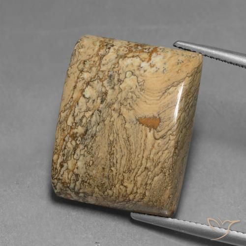 28.04ct Naturel Multicolore Jaspe, Baquette, Opaque