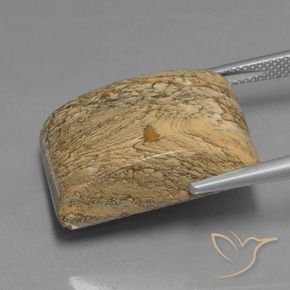 Jaspe Multicolore naturelle Baquette, 28.04 ct, Opaque