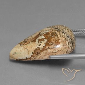 Jaspe Multicolore naturelle En forme de poire, 26.55 ct, Opaque
