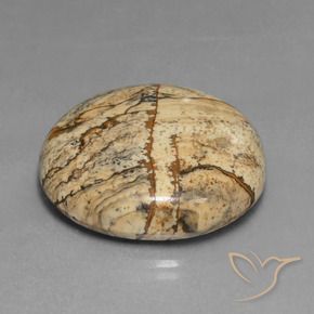 Jaspe Multicolore naturelle ovale, 37.82 ct, Opaque
