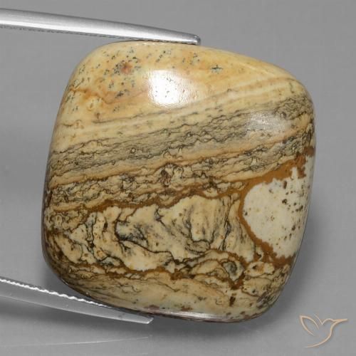 Jaspe Multicolore naturelle Coussin, 38.72 ct, Opaque