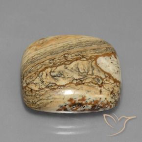 Jaspe Multicolore naturelle Coussin, 38.72 ct, Opaque