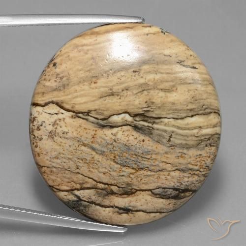 33.71ct Naturel Multicolore Jaspe, ovale, Opaque