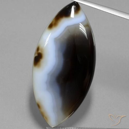 49.54ct Naturel Multicolore Jaspe, Marquise, Translucide
