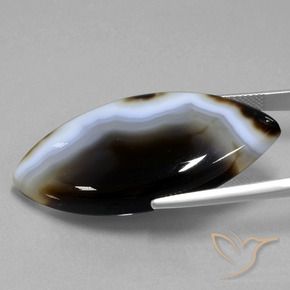 Jaspe Multicolore naturelle Marquise, 49.54 ct, Translucide