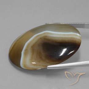 Jaspe Multicolore naturelle ovale, 52.11 ct, Translucide