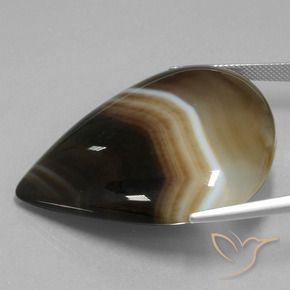 Jaspe Multicolore naturelle En forme de poire, 76.12 ct, Translucide
