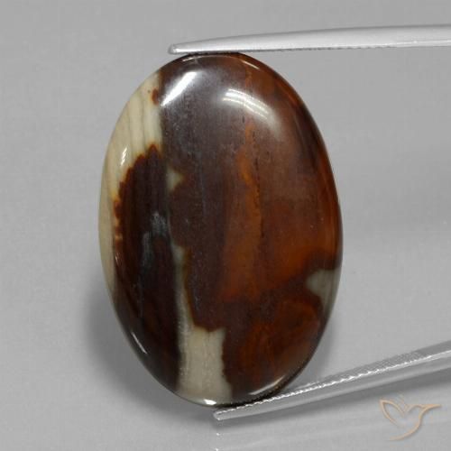 39.85ct Naturel Multicolore Jaspe, ovale, Opaque
