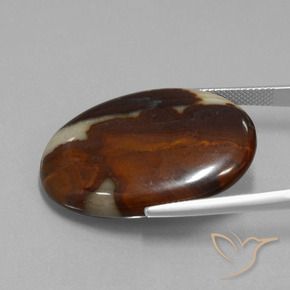 Jaspe Multicolore naturelle ovale, 39.85 ct, Opaque