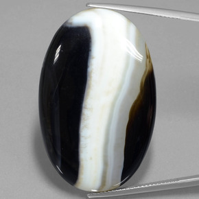 Jaspe multicolore naturelle coupe ovale, 57,18 ct, opaque