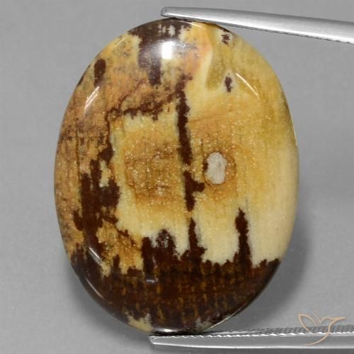 28.65ct Naturel Multicolore Jaspe, ovale, Opaque