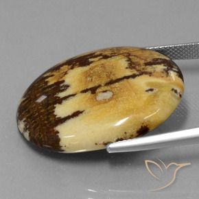 Jaspe Multicolore naturelle ovale, 28.65 ct, Opaque