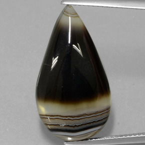 Jaspe Multicolore naturelle En forme de poire, 15.22 ct, Translucide