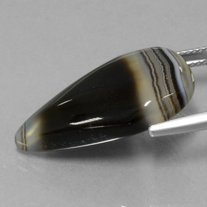 Jaspe Multicolore naturelle En forme de poire, 15.22 ct, Translucide