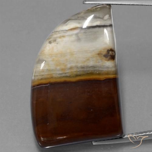40.76ct Naturel Multicolore Jaspe, Fantaisie, Opaque