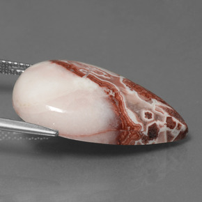 Jaspe Multicolore naturelle En forme de poire, 15.54 ct, Opaque