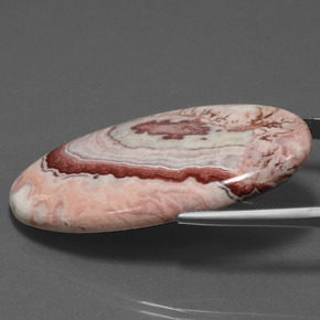 Jaspe Multicolore naturelle Coupe ovale, 55.89 ct, Opaque