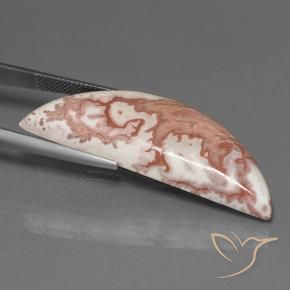 Jaspe Multicolore naturelle Fantaisie, 31.35 ct, Opaque