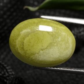 Jaspe Multicolore naturelle Coupe ovale, 7.63 ct, Opaque