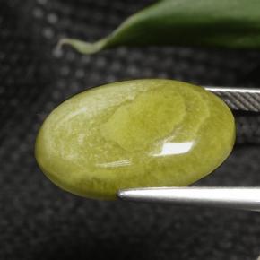 Jaspe Multicolore naturelle Coupe ovale, 7.63 ct, Opaque