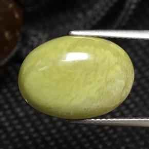 Jaspe multicolore naturelle coupe ovale, 8,46 ct, opaque