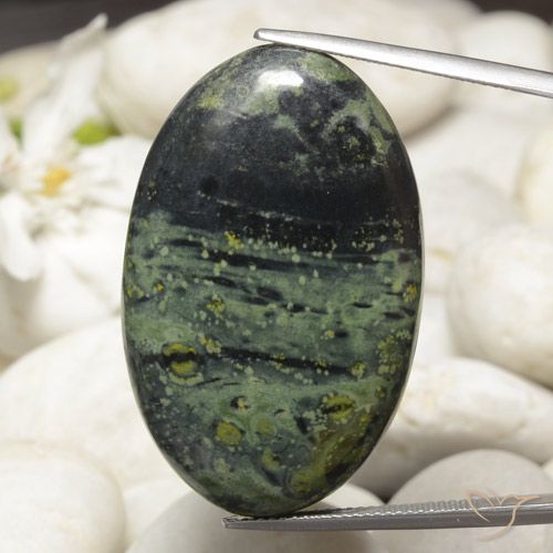 48.91ct Naturel Multicolore Jaspe, ovale, Opaque