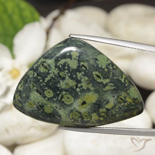 44.66ct Naturel Multicolore Jaspe, Trillion, Opaque