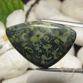 Jaspe Multicolore naturelle Trillion, 44.66 ct, Opaque