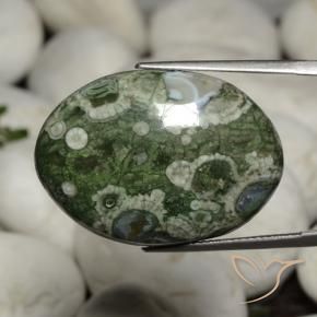 Jaspe Multicolore naturelle ovale, 26.41 ct, Opaque