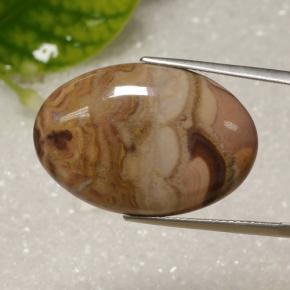 Jaspe multicolore naturelle coupe ovale, 17,61 ct, opaque
