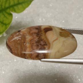 Jaspe Multicolore naturelle Coupe ovale, 21.62 ct, Opaque