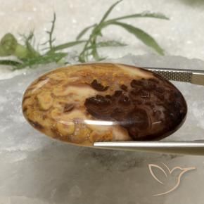 Jaspe Multicolore naturelle ovale, 36.78 ct, Opaque