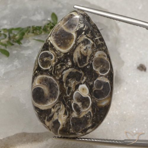 35.12ct Naturel Multicolore Jaspe, En forme de poire, Opaque