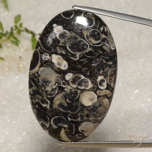40.51ct Naturel Multicolore Jaspe, ovale, Opaque